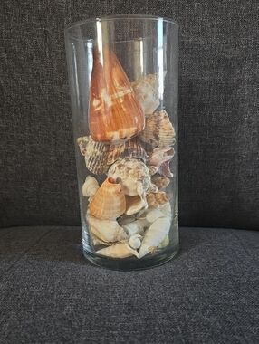 Glass Vase Filled with Natural Seashells - Orange & Cream Accents